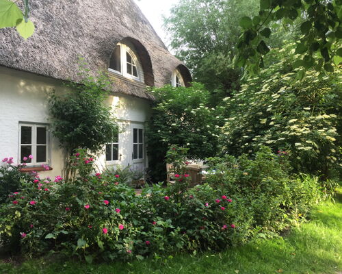 Haus Am Watt Westen 2020 02 Galerie